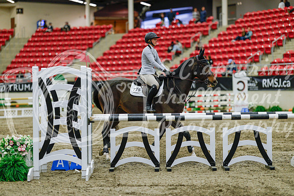 2025 - Haylee - Royal West - Friday October 17th - 03972