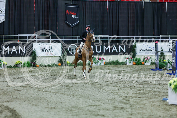 2025 - Shea - Royal West - Friday October 17th - 09520