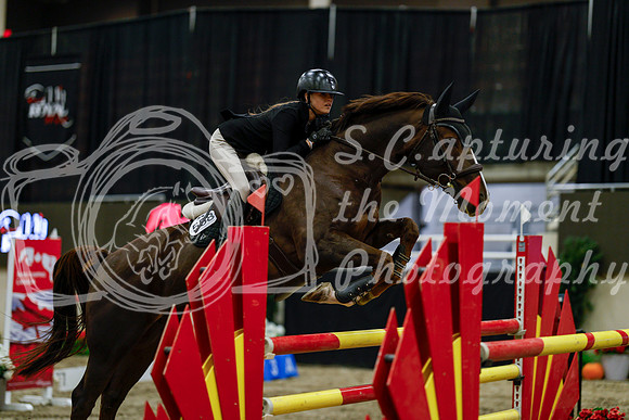 2025 - Haylee - Royal West - Friday October 17th - 07373