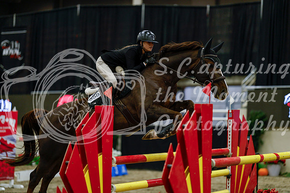 2025 - Haylee - Royal West - Friday October 17th - 07374