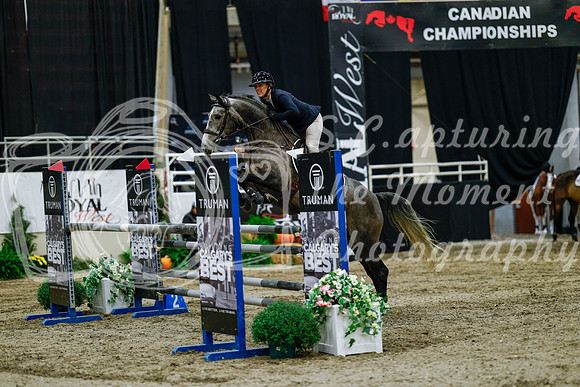 2025 - Haylee - Royal West - Friday October 17th - 07461