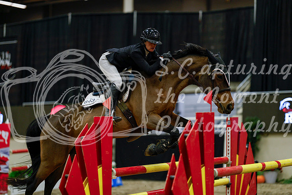 2025 - Haylee - Royal West - Friday October 17th - 07570
