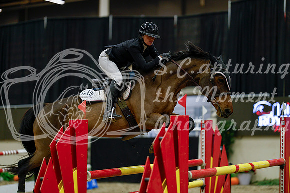 2025 - Haylee - Royal West - Friday October 17th - 07572