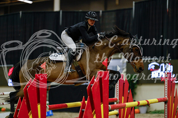 2025 - Haylee - Royal West - Friday October 17th - 07573