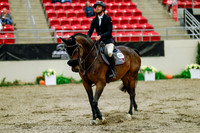 2025 - Haylee - Royal West - Friday October 17th - 07056