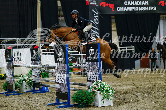 2025 - Haylee - Royal West - Friday October 17th - 08856