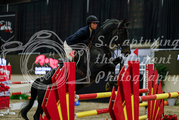 2025 - Haylee - Royal West - Friday October 17th - 08116