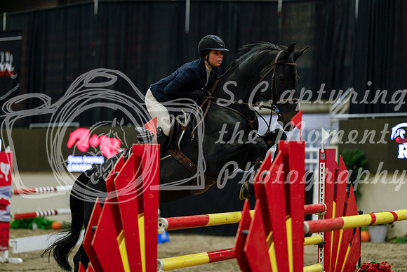 2025 - Haylee - Royal West - Friday October 17th - 08117