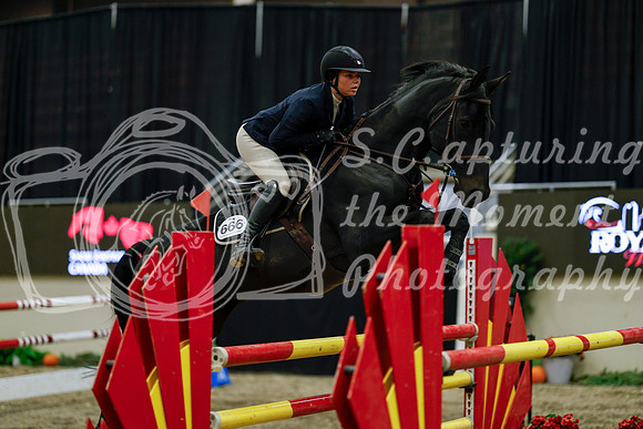 2025 - Haylee - Royal West - Friday October 17th - 08119