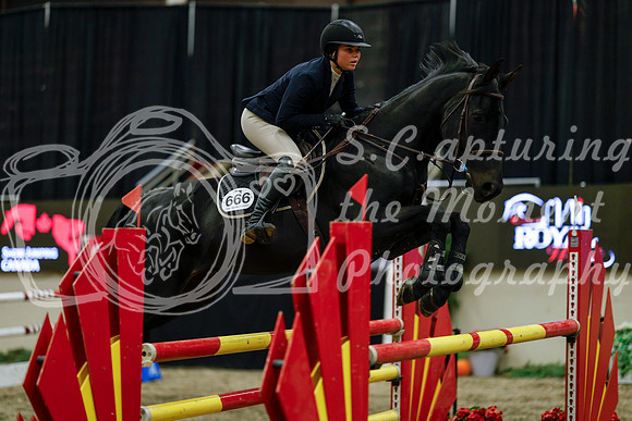 2025 - Haylee - Royal West - Friday October 17th - 08122