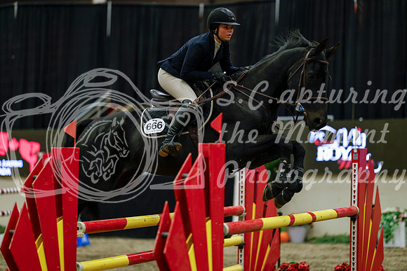 2025 - Haylee - Royal West - Friday October 17th - 08123
