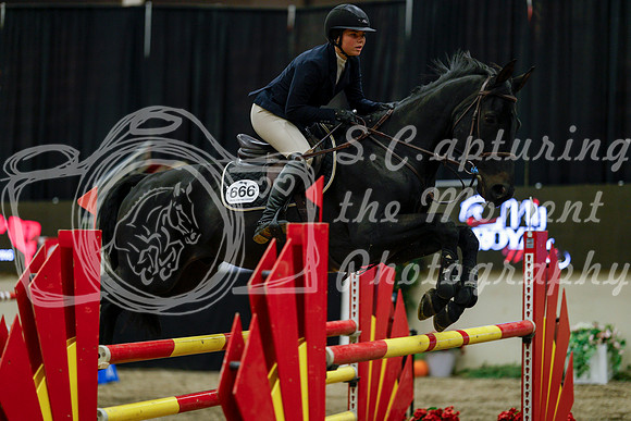 2025 - Haylee - Royal West - Friday October 17th - 08124
