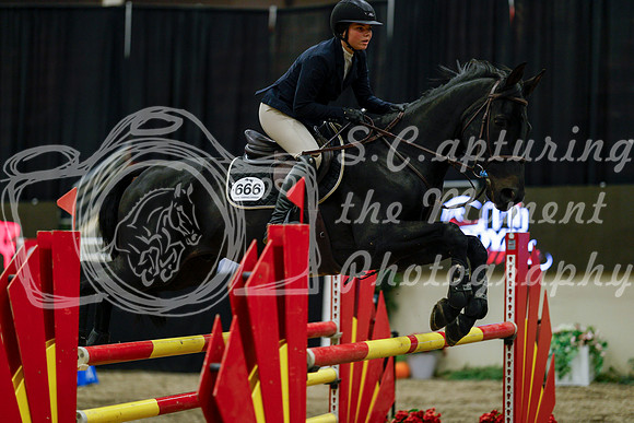 2025 - Haylee - Royal West - Friday October 17th - 08125
