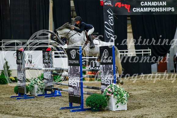 2025 - Haylee - Royal West - Friday October 17th - 08723