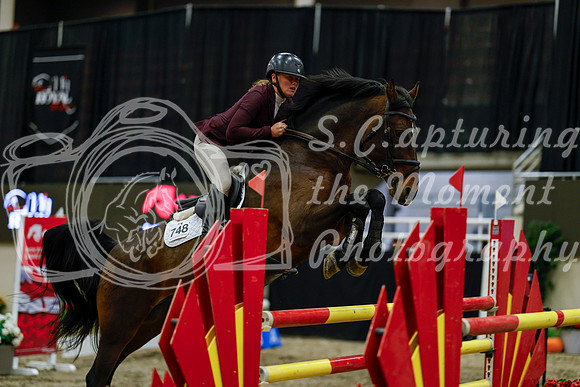 2025 - Haylee - Royal West - Friday October 17th - 08401