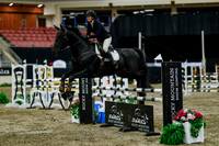 2025 - Haylee - Royal West - Friday October 17th - 08484