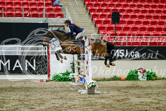 2025 - Haylee - Royal West - Friday October 17th - 08918