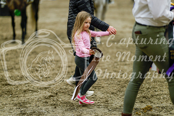 2025 - Haylee - Royal West - Friday October 17th - 08999
