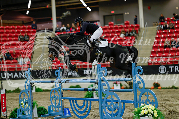2025 - Haylee - Royal West - Friday October 17th - 11492