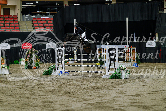 2025 - Haylee - Royal West - Friday October 17th - 11504