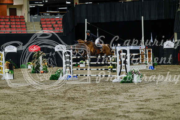 2025 - Haylee - Royal West - Friday October 17th - 11569