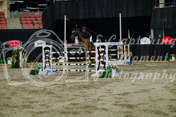 2025 - Haylee - Royal West - Friday October 17th - 11329