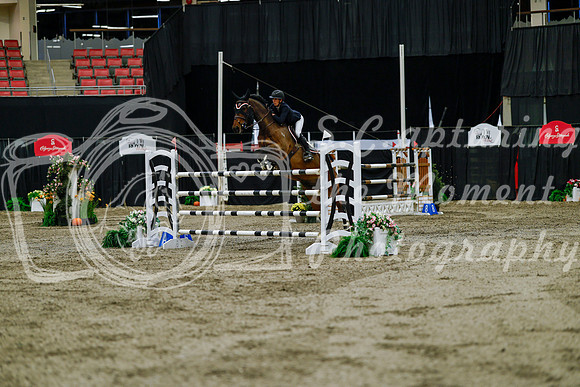 2025 - Haylee - Royal West - Friday October 17th - 11330
