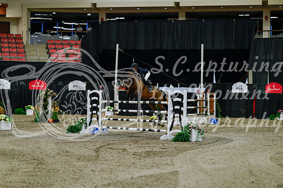 2025 - Haylee - Royal West - Friday October 17th - 10970
