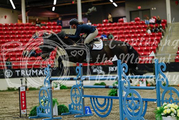 2025 - Haylee - Royal West - Friday October 17th - 11885