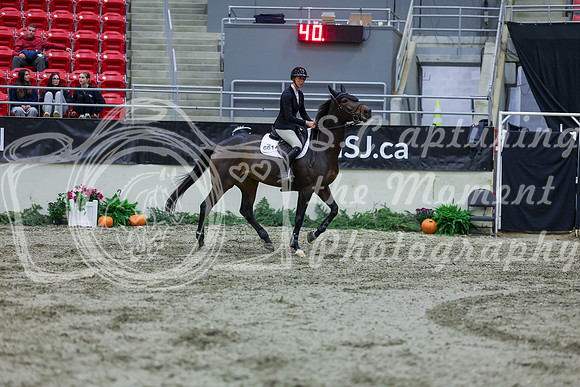 2025 - Shea - Royal West - Friday October 17th - 05223