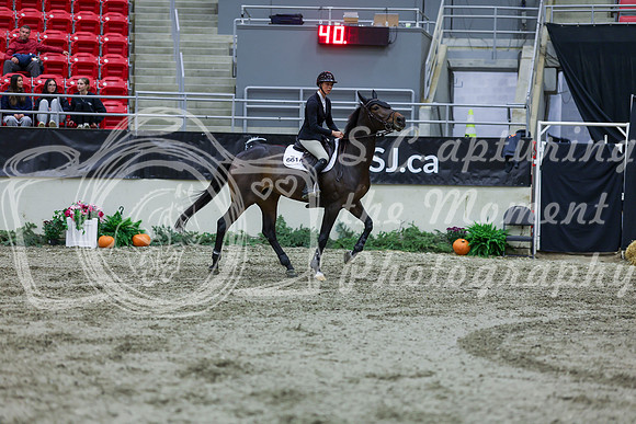 2025 - Shea - Royal West - Friday October 17th - 05224