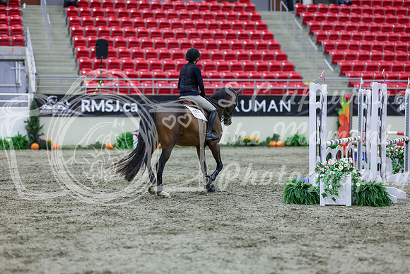 2025 - Shea - Royal West - Friday October 17th - 01070