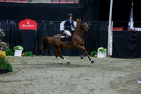 2025 - Shea - Royal West - Friday October 17th - 04533