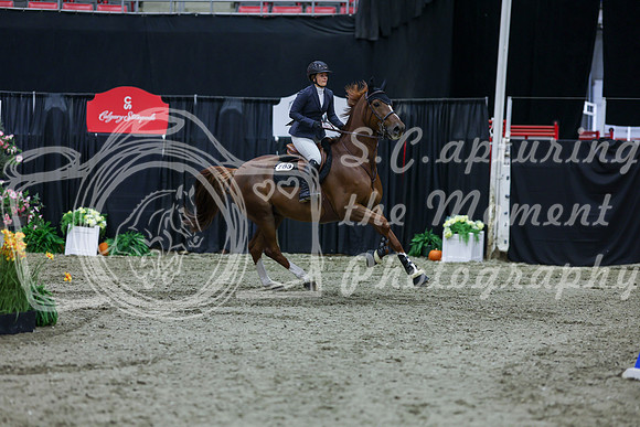 2025 - Shea - Royal West - Friday October 17th - 04533