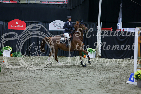 2025 - Shea - Royal West - Friday October 17th - 04536