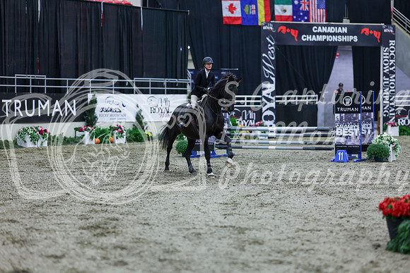 2025 - Shea - Royal West - Friday October 17th - 00548