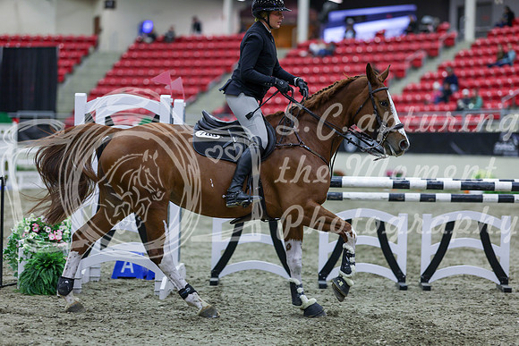 2025 - Shea - Royal West - Friday October 17th - 05516