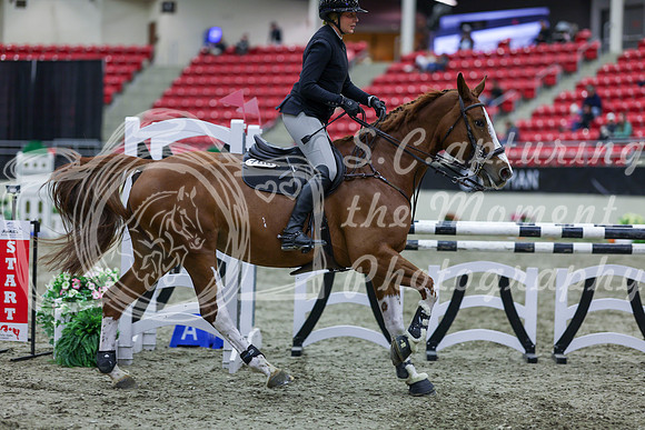 2025 - Shea - Royal West - Friday October 17th - 05515