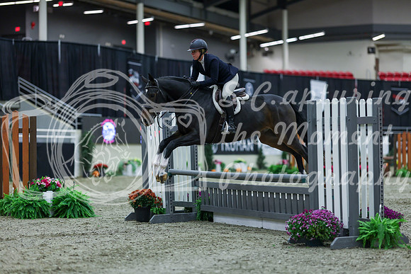 2025 - Shea - Royal West - Saturday October 18th - 00045