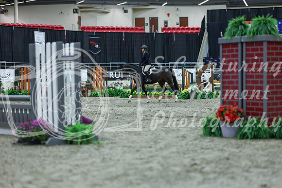 2025 - Shea - Royal West - Saturday October 18th - 00056