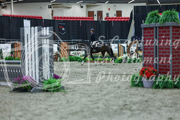 2025 - Shea - Royal West - Saturday October 18th - 00057