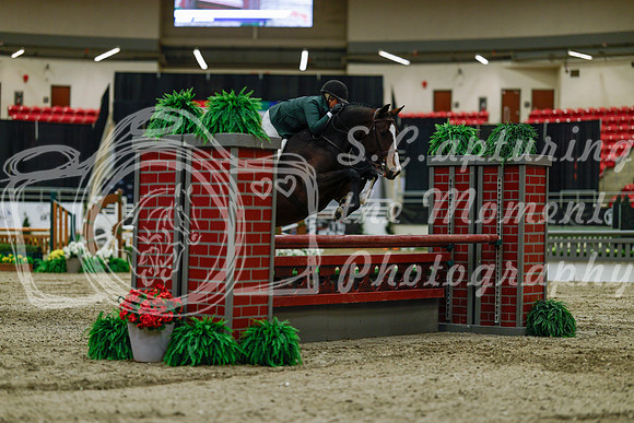 2025 - Haylee - Royal West - Saturday October 18th - 03425