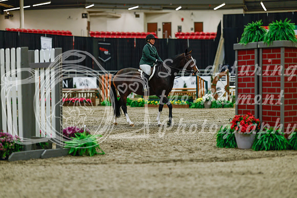 2025 - Haylee - Royal West - Saturday October 18th - 03423