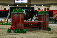 2025 - Haylee - Royal West - Saturday October 18th - 03426
