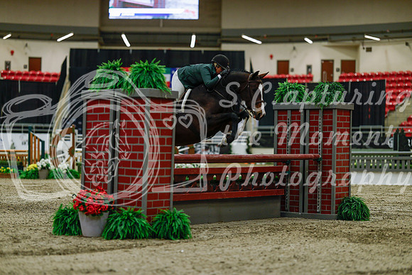 2025 - Haylee - Royal West - Saturday October 18th - 03426