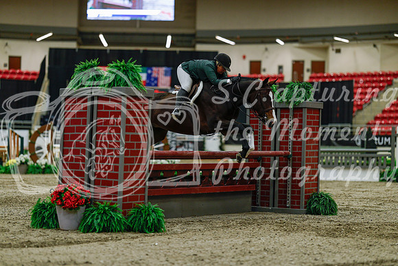 2025 - Haylee - Royal West - Saturday October 18th - 03430