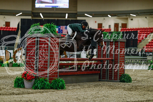 2025 - Haylee - Royal West - Saturday October 18th - 03429