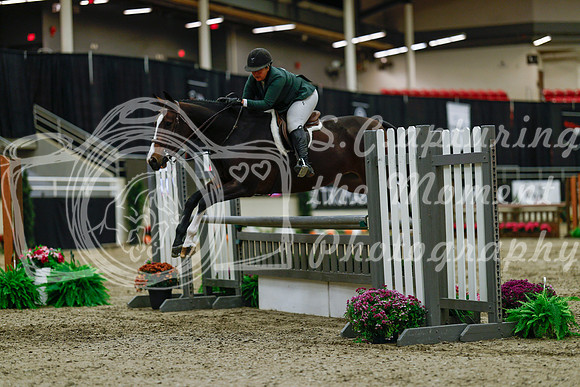 2025 - Haylee - Royal West - Saturday October 18th - 03435