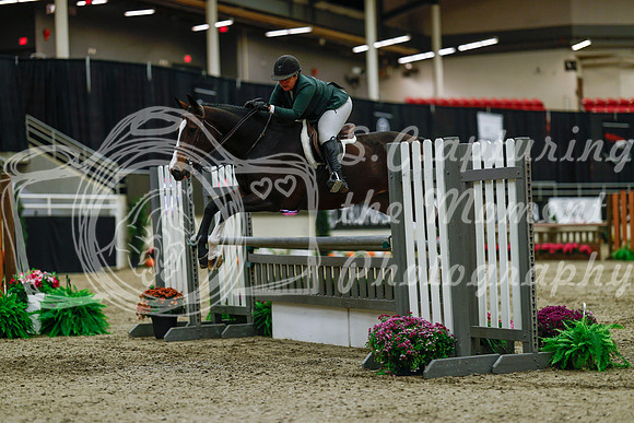 2025 - Haylee - Royal West - Saturday October 18th - 03434