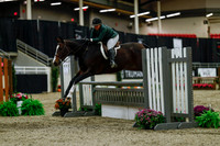 2025 - Haylee - Royal West - Saturday October 18th - 03436
